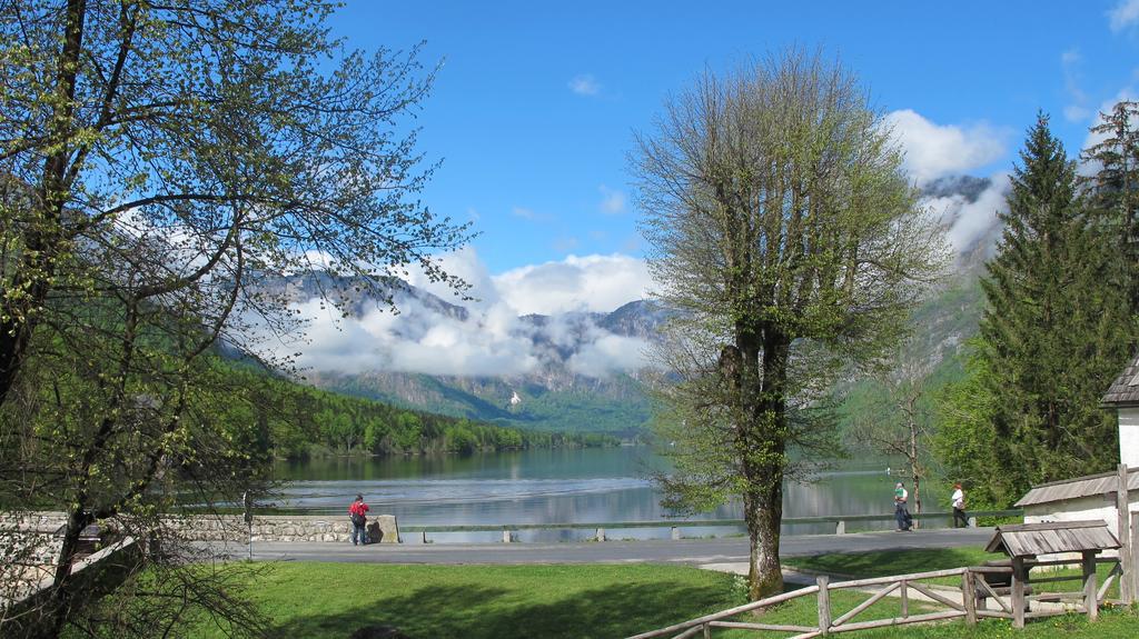 Apartment Zalokar Bohinj Rum bild