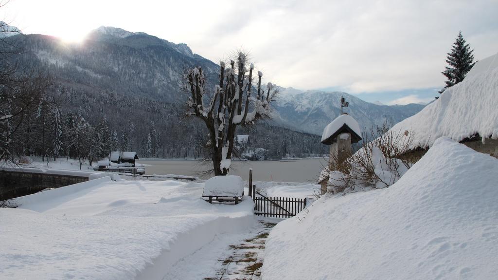 Apartment Zalokar Bohinj Rum bild