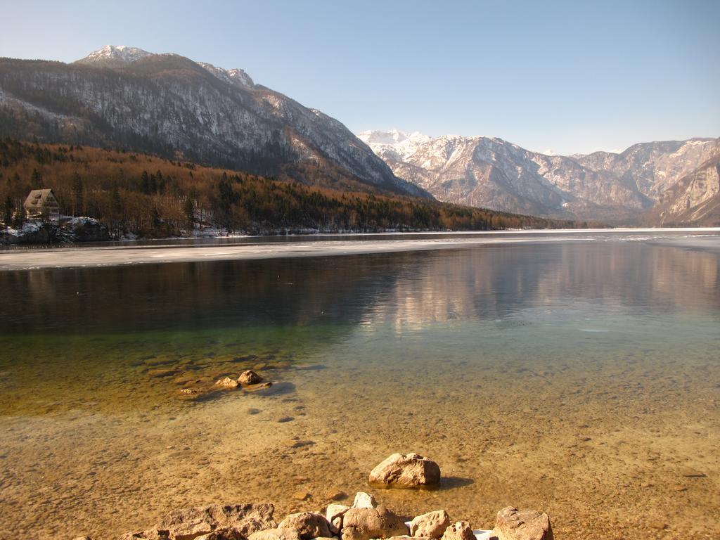 Apartment Zalokar Bohinj Rum bild